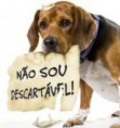 /album/c%c3%a3es-e-gatos/blog-c%c3%a3es-jpg/